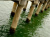 Select Florida Marine Speciality Contractor License Exam Classification
