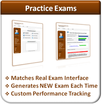 Randomly-Generated “Practice Exams”